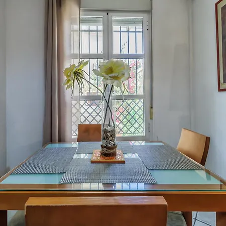 Apartment Buganvilla & Parking Y Terraza